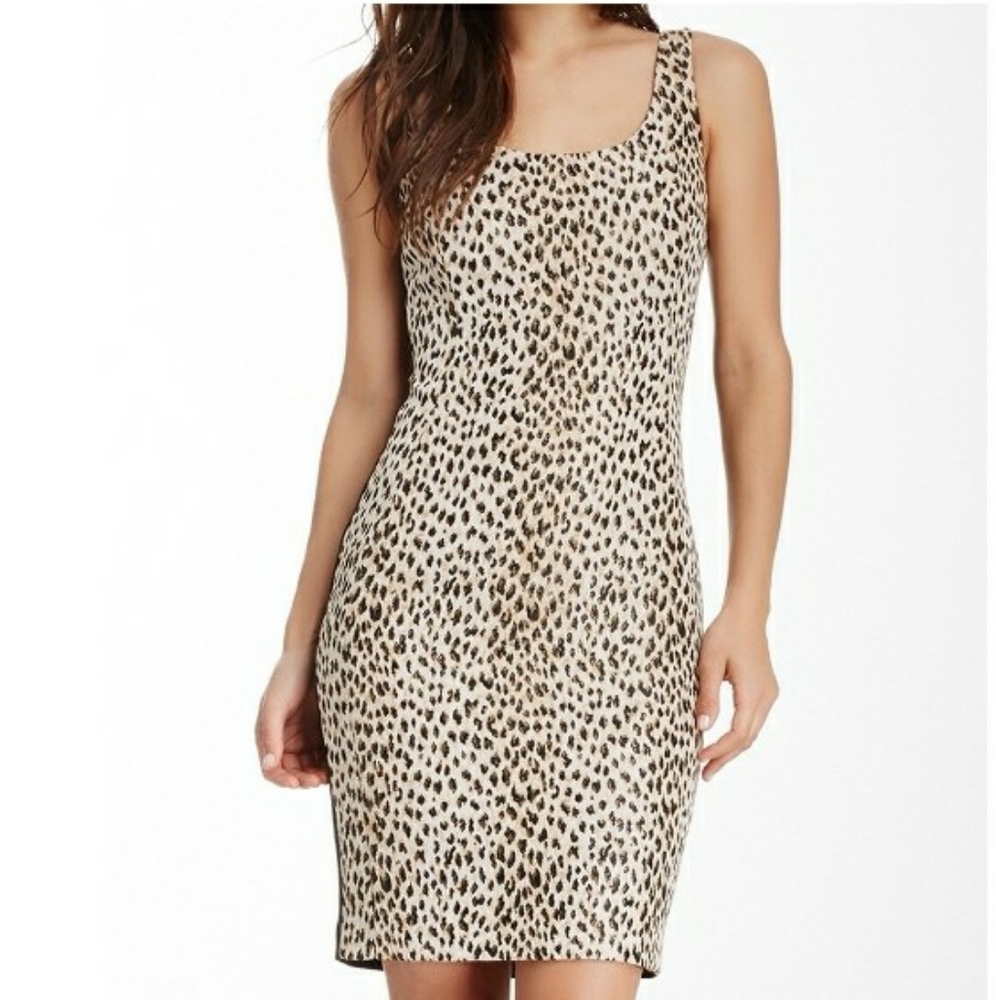 MODA International Leopard Print Dress  Size 6 Women